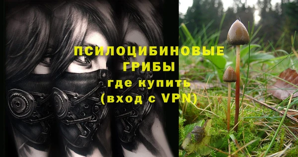 соль ск Абдулино