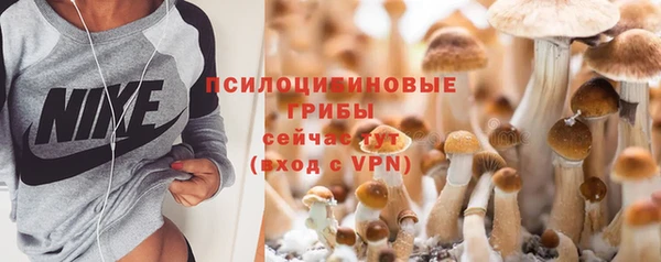 соль ск Абдулино