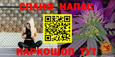 СК Гай