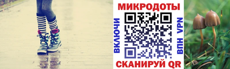 наркотики  Кострома  Галлюциногенные грибы Cubensis 