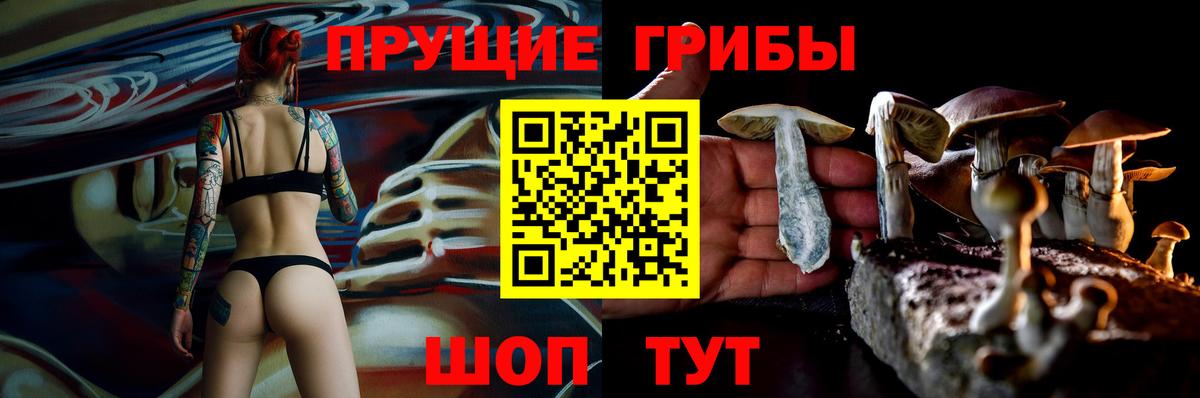 Псилоцибиновые грибы Psilocybine cubensis  Вход с VPN  Кострома  Псилоцибиновые грибы Psilocybe 